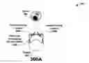 Fig. 01 - Eye reflection image analysis