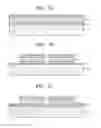 Fig. 04 - Transmissive optical shutter and method of manufacturing the same