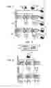 Fig. 02 - Web-based interaction with building automation