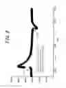 Fig. 09 - Electronic device and control method of electronic device