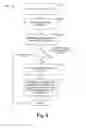 Fig. 07 - SEARCH RESULTS INCLUDING SUPPLEMENTAL CONTENT TRIGGERED BY USER ACTIONS WHEN BROWSING THE SEARCH RESULTS