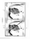 Fig. 08 - METHOD AND APPARATUS FOR DISPLAYING MEDICAL IMAGES