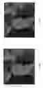 Fig. 07 - Temporal layers for presenting personalization markers on imagery