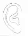 Fig. 01 - Ear-scan-based biometric authentication