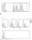 Fig. 08 - INTELLIGENT SOCIAL POLLING PLATFORM