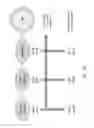 Fig. 06 - Methods and systems for measuring conversion probabilities of paths for an attribution model