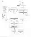 Fig. 01 - ADVERTISING CANNIBALIZATION MANAGEMENT