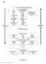 Fig. 11 - ADVERTISING CANNIBALIZATION MANAGEMENT