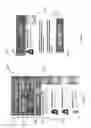 Fig. 11 - Milestone Driven Data Feed Systems and Methods for Live Events