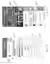 Fig. 17 - Milestone Driven Data Feed Systems and Methods for Live Events
