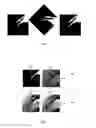 Fig. 06 - Methods and systems for characterizing angle closure glaucoma for risk assessment or screening