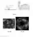 Fig. 10 - Method and system for performing rendering using first and second projections