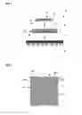 Fig. 02 - Chip, chip package and die