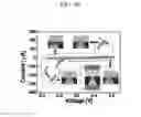 Fig. 64 - VERTICAL RESISTIVE RANDOM ACCESS MEMORY DEVICE, AND METHOD FOR MANUFACTURING SAME