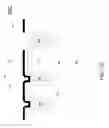 Fig. 06 - Dual trench structure