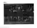 Fig. 02 - METHOD OF MANUFACTURING CI(G)S-BASED THIN FILM HAVING REDUCED CARBON LAYER, THIN FILM MANUFACTURED BY THE METHOD, AND SOLAR CELL COMPRISING THE THIN FILM