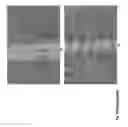 Fig. 09 - LASER PROCESSING FOR SOLAR CELL BASE AND EMITTER REGIONS
