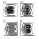 Fig. 01 - Light emitting element