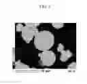 Fig. 06 - POSITIVE ELECTRODE FOR RECHARGEABLE LITHIUM BATTERY, PREPARING SAME, AND RECHARGEABLE LITHIUM BATTERY