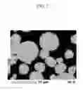 Fig. 08 - POSITIVE ELECTRODE FOR RECHARGEABLE LITHIUM BATTERY, PREPARING SAME, AND RECHARGEABLE LITHIUM BATTERY