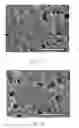 Fig. 02 - PREPARATION METHOD OF ELECTROLYTES FOR SOLID OXIDE FUEL CELLS