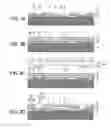 Fig. 04 - Acoustic wave device and method for manufacturing same
