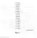 Fig. 06 - Efficient link layer retry protocol utilizing implicit acknowledgements