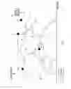 Fig. 03 - Repair of failed network routing arcs using data plane protocol