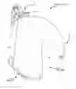 Fig. 01 - Hearing prosthesis accessory
