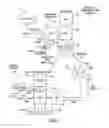Fig. 02 - Method and apparatus for improving a mobile station cell change operation in the general packet radio system (GPRS)