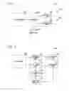 Fig. 03 - Wireless communication system, wireless communication method, mobile station device, and base station device