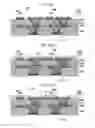 Fig. 06 - Printed wiring board and method for manufacturing printed wiring board