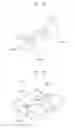 Fig. 09 - Display apparatus