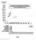 Fig. 02 - Methods of seed breeding using high throughput nondestructive seed sampling