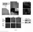 Fig. 04 - Mammal with an orthotopic tumor capable of metastasis, a method of making and a method of using