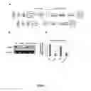 Fig. 08 - Mammal with an orthotopic tumor capable of metastasis, a method of making and a method of using