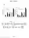 Fig. 09 - Mammal with an orthotopic tumor capable of metastasis, a method of making and a method of using