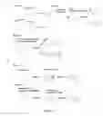 Fig. 11 - Mammal with an orthotopic tumor capable of metastasis, a method of making and a method of using
