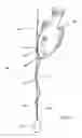 Fig. 04 - Deepwater fish release device