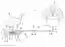 Fig. 01 - Turkey decoy apparatus