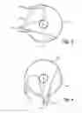 Fig. 04 - Method and device for opening a carcass of a slaughtered animal