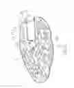 Fig. 03 - Vibrating Breast Pad with Air Ventilation