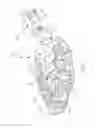 Fig. 05 - Vibrating Breast Pad with Air Ventilation