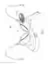 Fig. 10 - Vibrating Breast Pad with Air Ventilation