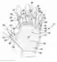 Fig. 01 - HAND GLOVE WITH PULL TABS