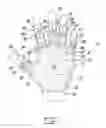 Fig. 02 - HAND GLOVE WITH PULL TABS