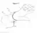 Fig. 09 - Tool lanyard wrist cuff