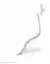 Fig. 02 - Structure of high-heeled shoe