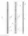 Fig. 06 - FLEXIBLE INTERLOCKING MATING TAPE FASTENER