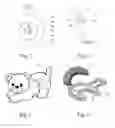 Fig. 02 - Cryptocurrency collectables